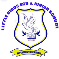 littlebirdsgroup.com